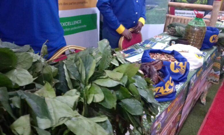 09-journee_internationale_biodiversite_2025