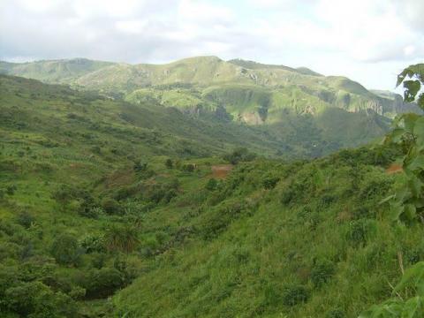 image d'un écosystème de montagne au Cameroun