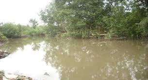 image d'un écosystème marin et côtier au Cameroun