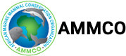 Logo AMMCO Logo AMMCO