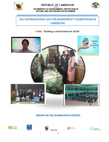 report cover image