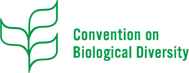 logo cbd