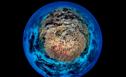 Fisheye view of coral reef and divers. Photo: Wu, UN World Oceans Day Photo Competition